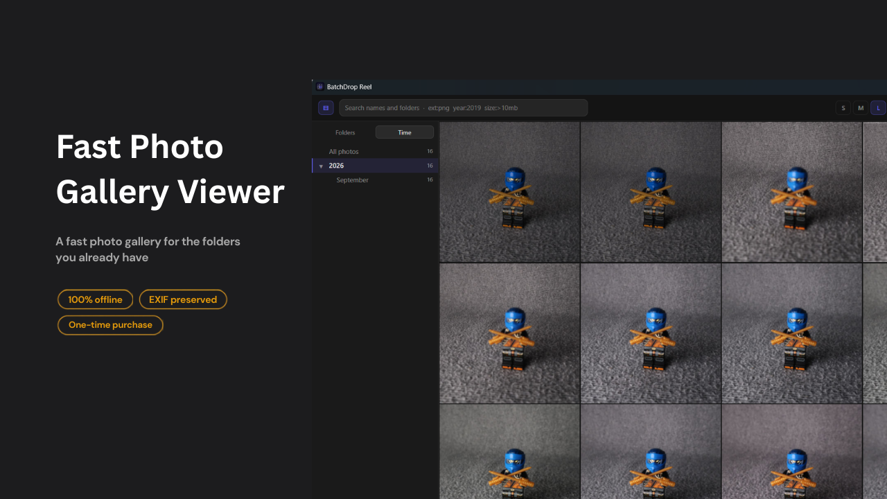 BatchDrop Reel — fast photo gallery viewer for Windows